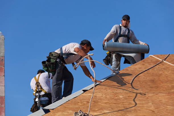 Best Roof Gutter Cleaning  in Loop, PA